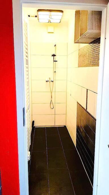Vip Design Apartment M. Dachterrasse ドレスデン エクステリア 写真