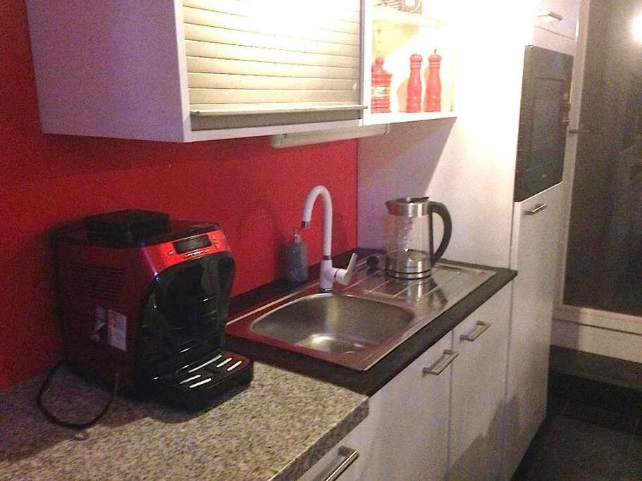 Vip Design Apartment M. Dachterrasse ドレスデン エクステリア 写真